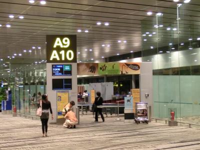 広くてきれいな空港です