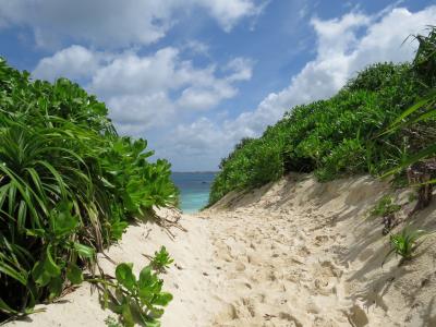 きれいなビーチ