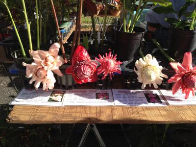 混んでいます。