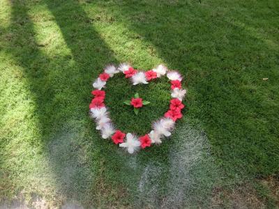 芝生には毎日　こんな花の飾りが・・・