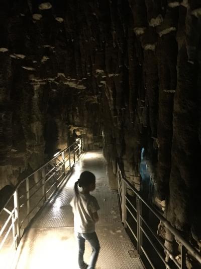 ２回行きました