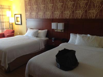 客室が新しく快適