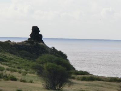 歩くのは大変そう