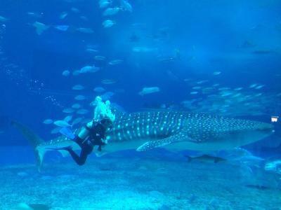 何度でも行きたい水族館