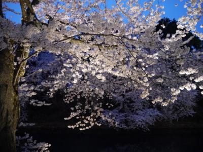 暖かい時期は、お花見、ピクニックなど、広大な公園で1日中楽しめます。