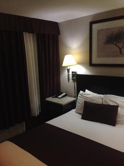 可もなく不可もなく