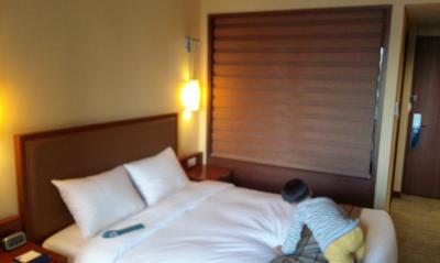 ノボテル アンバサダー ドクサン