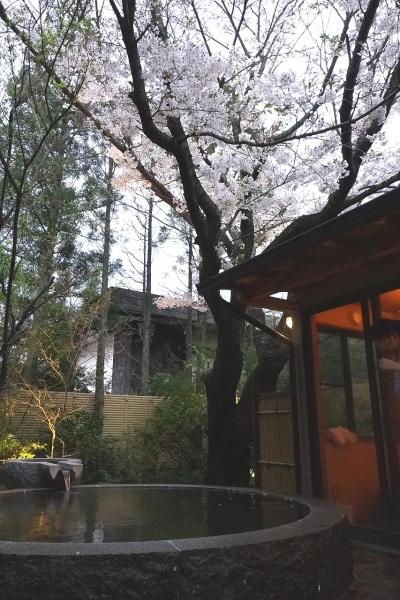 貸し切り露天風呂が充実