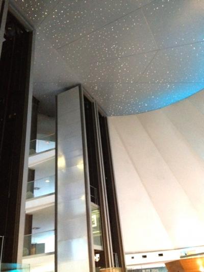 エントランスは広々して天井は星空風