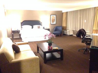 とても広い部屋