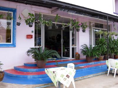 入口周りも、ちょっと変わった感じですが…