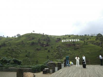 午後の紅茶の茶葉はここで作られる