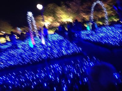 思ったとおり以上の見ごたえでした。