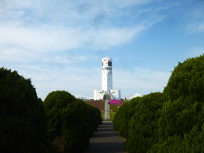東京湾も横浜港も羽田空港も一望