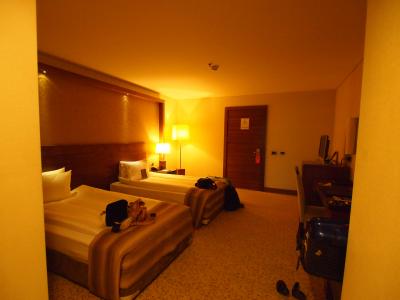 トリプルルームの1室。とても広いです。