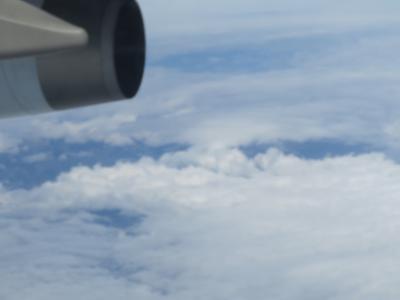 親切な航空会社オンp