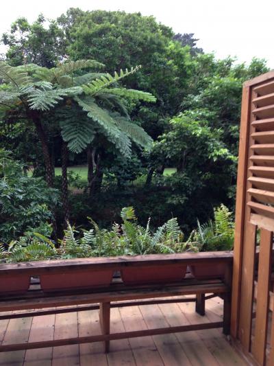 閑散期だったから他に宿泊客がいなくて寂しかった。