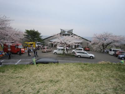 加護坊桜まつり