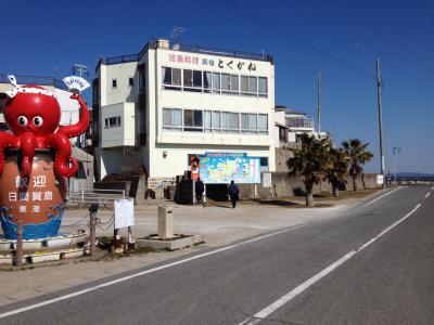 日間賀島　民宿　とくがね