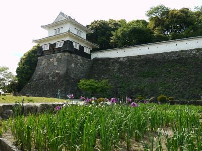 ぶらぶら散歩に