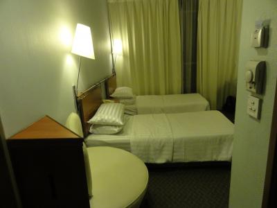 カーテンの向こうは景色が広がるが、レースだけだと暑い。