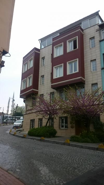 後ろに見えるのがブルーモスクです