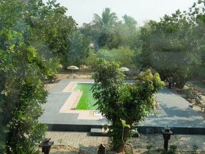 緑色の水のプール・・・