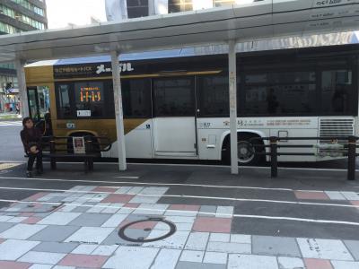 ドニチエコ切符