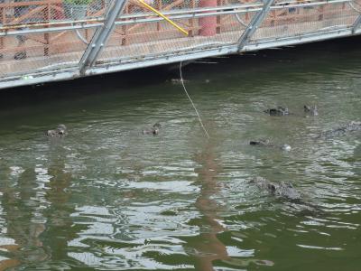 恐るべし？スーティエン公園！