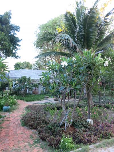 敷地内、グリーンが多くてリゾート気分♪