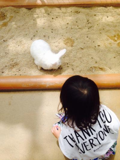 触れ合い動物園