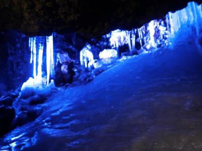 探検気分。でも中腰はきつかった(+_+)