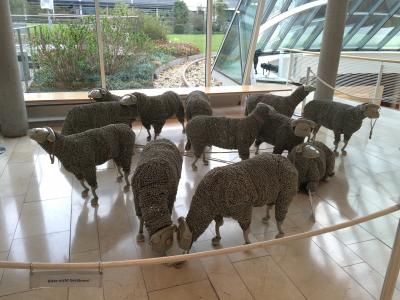 フランクフルトでアンペルマングッズをgetするならこちらへ！