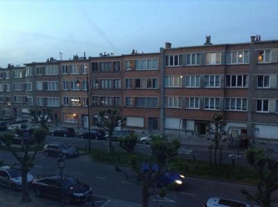 これは夜9時半頃の窓からの眺めです