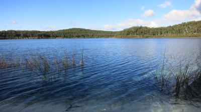 フレーザー島ツアーのハイライト
