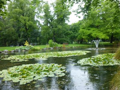 緑や水辺の美しいすばらしい公園