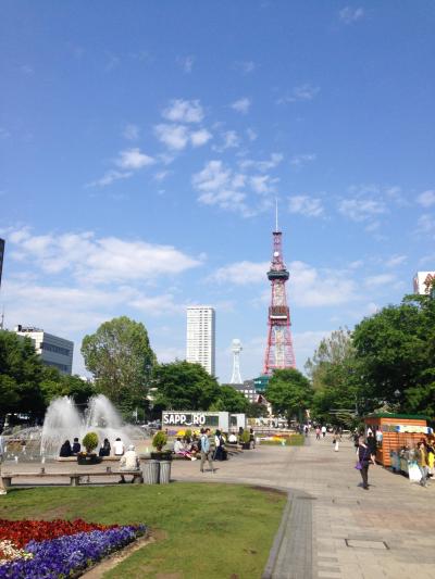 鳩が多い！