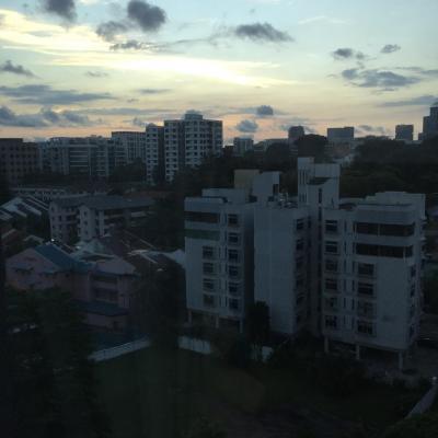 朝の窓からの風景