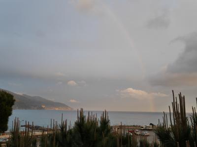 窓を開けると前は松の木と海　ちょうど虹がかかっていました