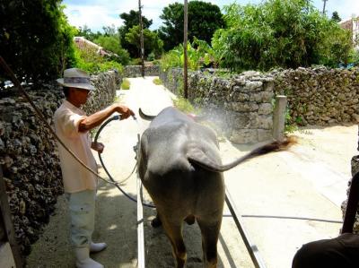 竹富島といえば！