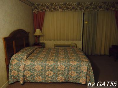 無駄に広いかな？