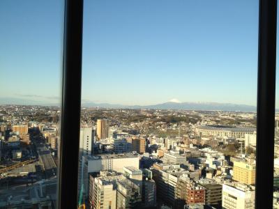 お部屋から富士山がみえました