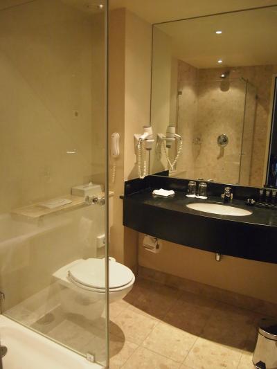 バスルーム。ガラス内がシャワールーム。右側にバスタブあり。