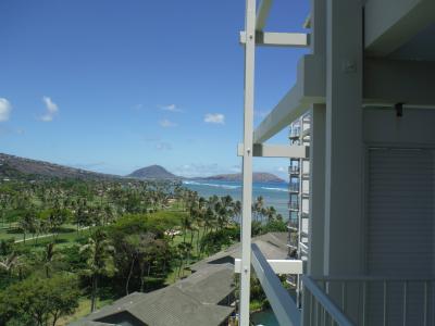 手の届く、束の間の極楽かなあ