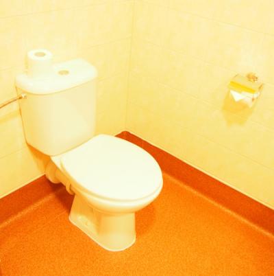 シャワーやトイレはふつう以下でしたかね。