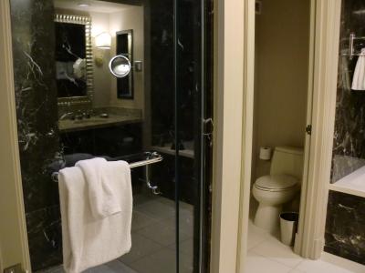 シャワールームの横に扉付のトイレ　その右はバスタブ