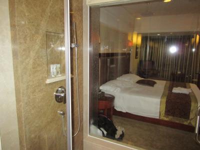 シャワールームから見た部屋