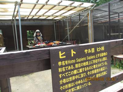 家族で楽しむがぴったりのパーク