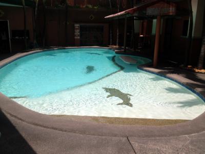 1階レストランに併設されているプール