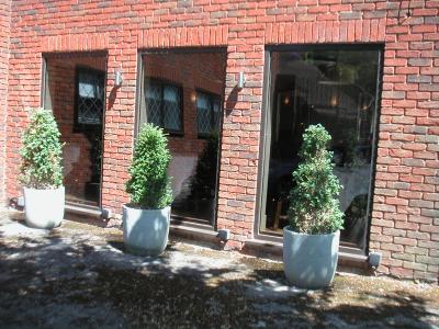 こちら側がホテルのメインダイニング